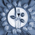 Easter table cutlery with tulips and eggs, toned in blue Royalty Free Stock Photo