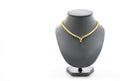 beautiful and luxury necklace with jewelry stand neck