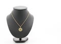 beautiful and luxury necklace with jewelry stand neck