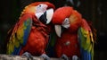 Beautiful macaws preening their feathers created with Generative AI Royalty Free Stock Photo