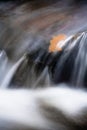 Beautiful macro close up on river brook stones with orange maple oak tree leaf flooded in satin soft waterfall flowing, creative b Royalty Free Stock Photo