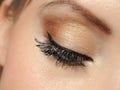 Beautiful macro eye with long lashes,make-up Royalty Free Stock Photo