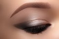 Beautiful Macro Eyes with Smoky Cat Eye Makeup. Cosmetics and Make-up. Closeup of Fashion Visage with Liner, Eyeshadows