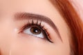 Beautiful Macro Female Eye with Extreme Long Eyelashes and Celebrate Makeup. Perfect Shape Make-up, Fashion Long Lashes