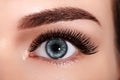 Beautiful Macro Female Eye with Extreme Long Eyelashes and Celebrate Makeup. Perfect Shape Make-up, Fashion Long Lashes