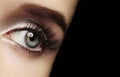 Beautiful Macro Female Eye with Extreme Long Eyelashes and Celebrate Makeup. Perfect Shape Make-up, Fashion Long Lashes