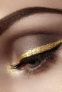 Beautiful macro shot of female eye with ceremonial makeup. Perfect shape of eyebrows, eyeliner and pretty gold line on eyelid Royalty Free Stock Photo