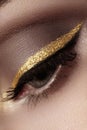 Beautiful macro shot of female eye with ceremonial makeup. Perfect shape of eyebrows, eyeliner and pretty gold line on eyelid Royalty Free Stock Photo
