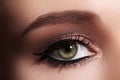 Beautiful Macro Shot of Female Eye with Classic Eyeliner Makeup. Perfect shape of eyebrows. Cosmetics and make-up Royalty Free Stock Photo