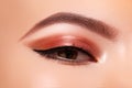 Beautiful Macro Shot Of Female Eye With Classic Eyeliner Makeup. Perfect Shape Of Eyebrows. Cosmetics And Make-up