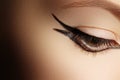 Beautiful Macro Shot of Female Eye with Classic Eyeliner Makeup.