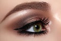 Beautiful Macro Shot of Female Eye with Classic Eyeliner Makeup. Perfect shape of eyebrows. Cosmetics and make-up