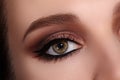 Beautiful Macro Shot of Female Eye with Classic Eyeliner Makeup. Perfect shape of eyebrows. Cosmetics and make-up Royalty Free Stock Photo