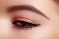 Beautiful Macro Shot Of Female Eye With Classic Eyeliner Makeup. Perfect Shape Of Eyebrows. Cosmetics And Make-up