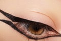 Beautiful Macro Shot of Female Eye with Classic Eyeliner Makeup. Perfect shape of eyebrows. Cosmetics and make-up Royalty Free Stock Photo