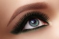 Beautiful female eye with extreme long eyelashes, black liner makeup. Perfect make-up, long lashes. Closeup fashion eyes