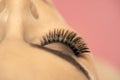 Beautiful macro shot of female eye with extreme long false eyelashes. Perfect shape make-up and long lashes Royalty Free Stock Photo