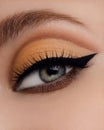 Beautiful macro shot of female eye make-up in smoky eyes style. Blue eye. Creative make-up. Perfect shape make-up and long lashes Royalty Free Stock Photo