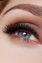 Beautiful macro shot of female eye with smoky makeup. Perfect shape of eyebrows