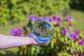 Beautiful macro view of hand holding crystal ball with inverted image of blooming purple rhododendron.