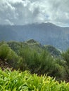 Beautiful Madeira landscape