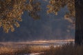 beautiful magic autumn landscape poplar tree forest, mist fog sunrise, river bank dry grass, coast lake Nature Early Stunning Royalty Free Stock Photo