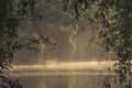 beautiful magic autumn landscape poplar tree forest, mist fog sunrise, river bank dry grass, coast lake Nature Early Stunning Royalty Free Stock Photo