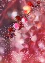 Beautiful magic effect flowers with autumn leaves in the sunshine, vintage retro hipster image with summer bloom. Autumn pink and