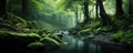 Beautiful magic forest in dark background. Magical fantasy or fairy scenery, night in a forest, copy space for text