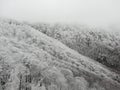 Beautiful magic frozen trees in Jizera Mountains Czech Republic.