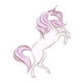 The beautiful magical unicorn. Royalty Free Stock Photo