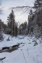 Beautiful magical winter forest on Christmas Eve, Altai, Russia Royalty Free Stock Photo