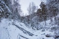 Beautiful magical winter forest on Christmas Eve, Altai, Russia Royalty Free Stock Photo