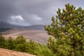 Beautiful magnificent landscape of mountains pine forest in fog