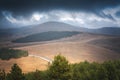 Beautiful magnificent landscape of mountains and pine forest in fog on cloudy day