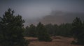 Beautiful magnificent landscape of mountains and pine forest in fog on a cloudy day, Zlatibor in Serbia