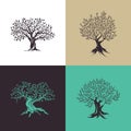 Beautiful magnificent olive tree silhouette isolated on color background. Royalty Free Stock Photo