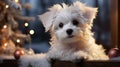 Sweet Maltese Puppy Relaxing By a Decorated Christmas Tree - Generative AI