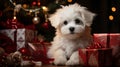 Cute Maltese Puppy Relaxing Near The Decorated Christmas Tree and Presents - Generative AI