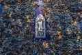 Beautiful man laying in boat in pond with water lilies portrait beauty portrait photoshoot Royalty Free Stock Photo