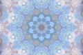 Beautiful mandala pattern with flower inspiration.