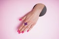 Beautiful woman hand and lilac flower on a pink background. Beautiful manicure, close-up