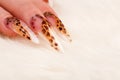 Beautiful manicure with leopard spots