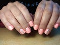 The manicurist excellently made her work a beautiful manicure with a polish gel on her hands and the client is happy