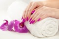 Beautiful manicure with pink orchid and towel