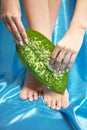 Beautiful manicured feet with a neat pedicure Royalty Free Stock Photo