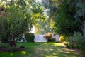 Beautiful manicured lawn in a spring garden.