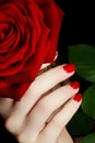 Beautiful manicured woman's hands with red nail polish. Beautifu Royalty Free Stock Photo