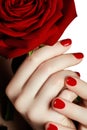 Beautiful manicured woman's hands with red nail polish. Beautifu Royalty Free Stock Photo