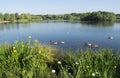Beautiful Manvers Lake Royalty Free Stock Photo